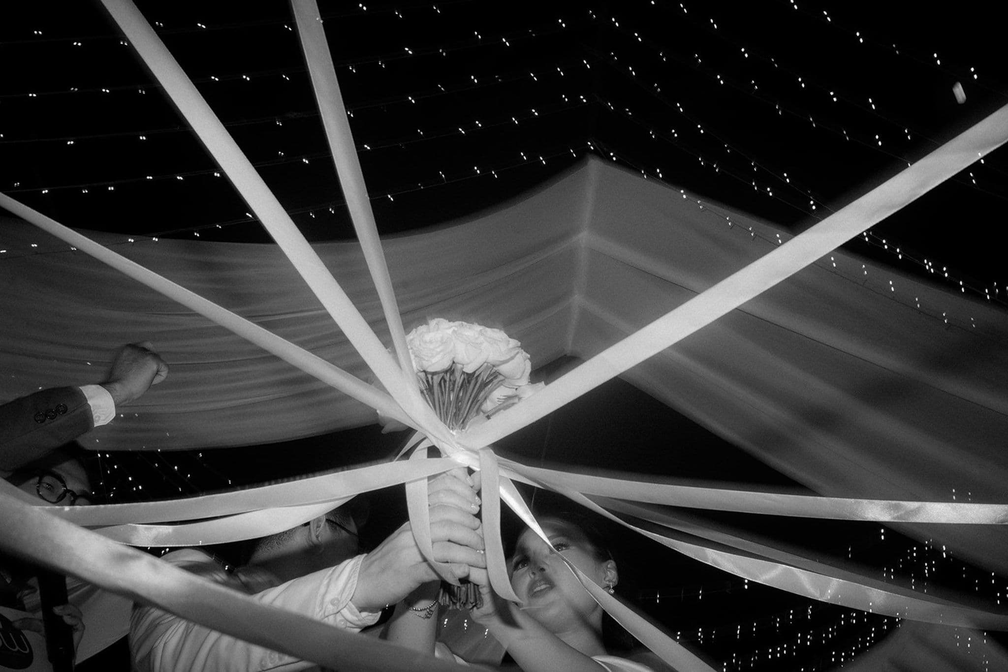 Venema Pictures Gallery