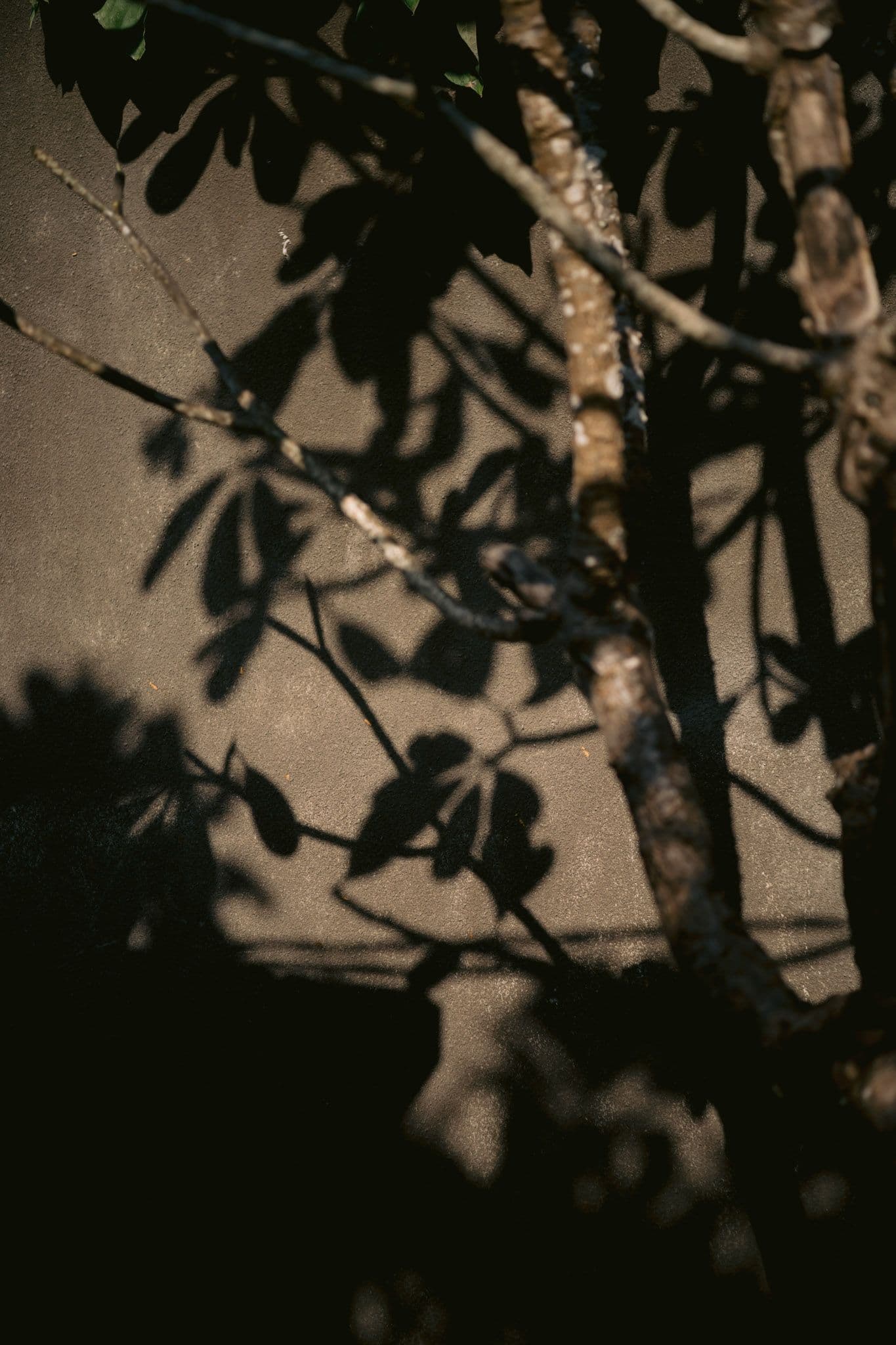 james kelly bali wedding 24 32fa7e23d4 | Venema Pictures - Jakarta Bali Wedding Photography Videography