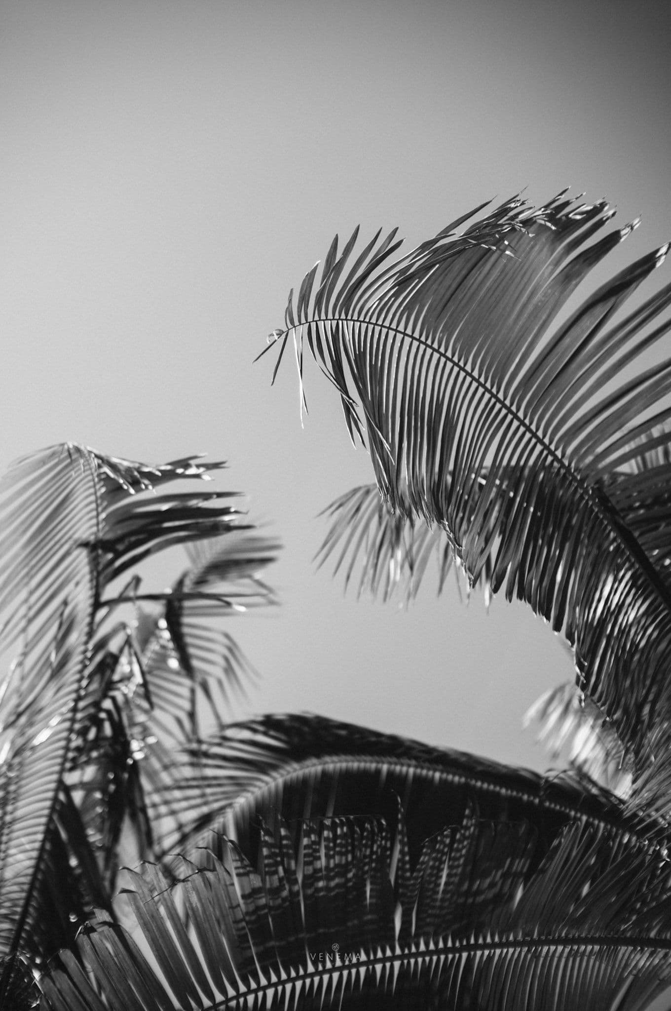 adinia wirasti bali couple session 3 d003bbcf06 | Venema Pictures - Jakarta Bali Wedding Photography Videography