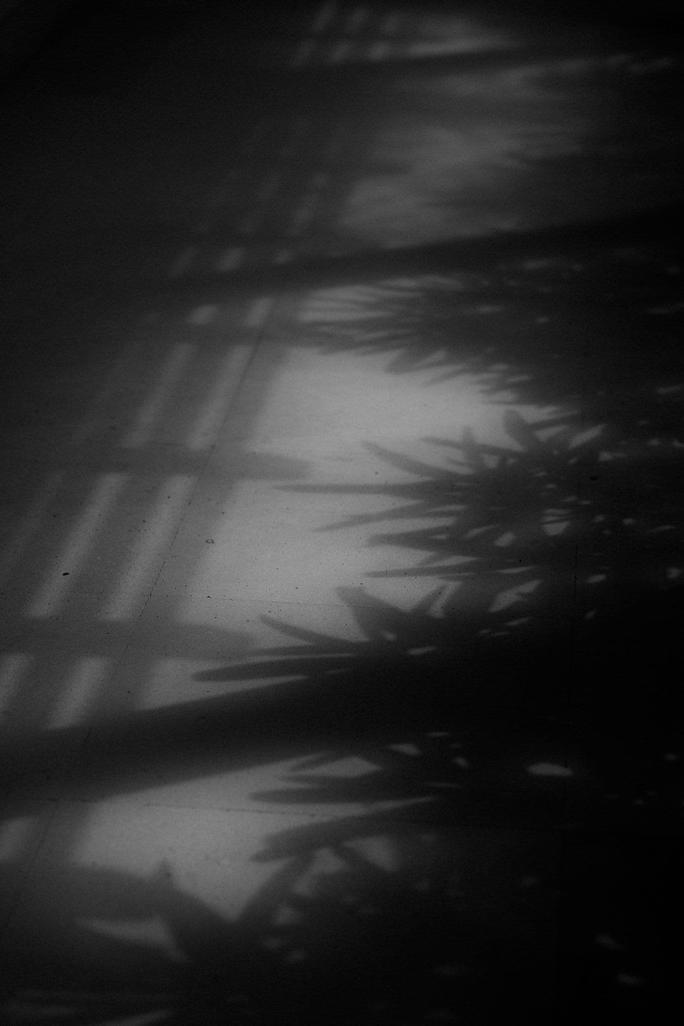 mikeson carol bali wedding 3 4bcb929397 | Venema Pictures - Jakarta Bali Wedding Photography Videography