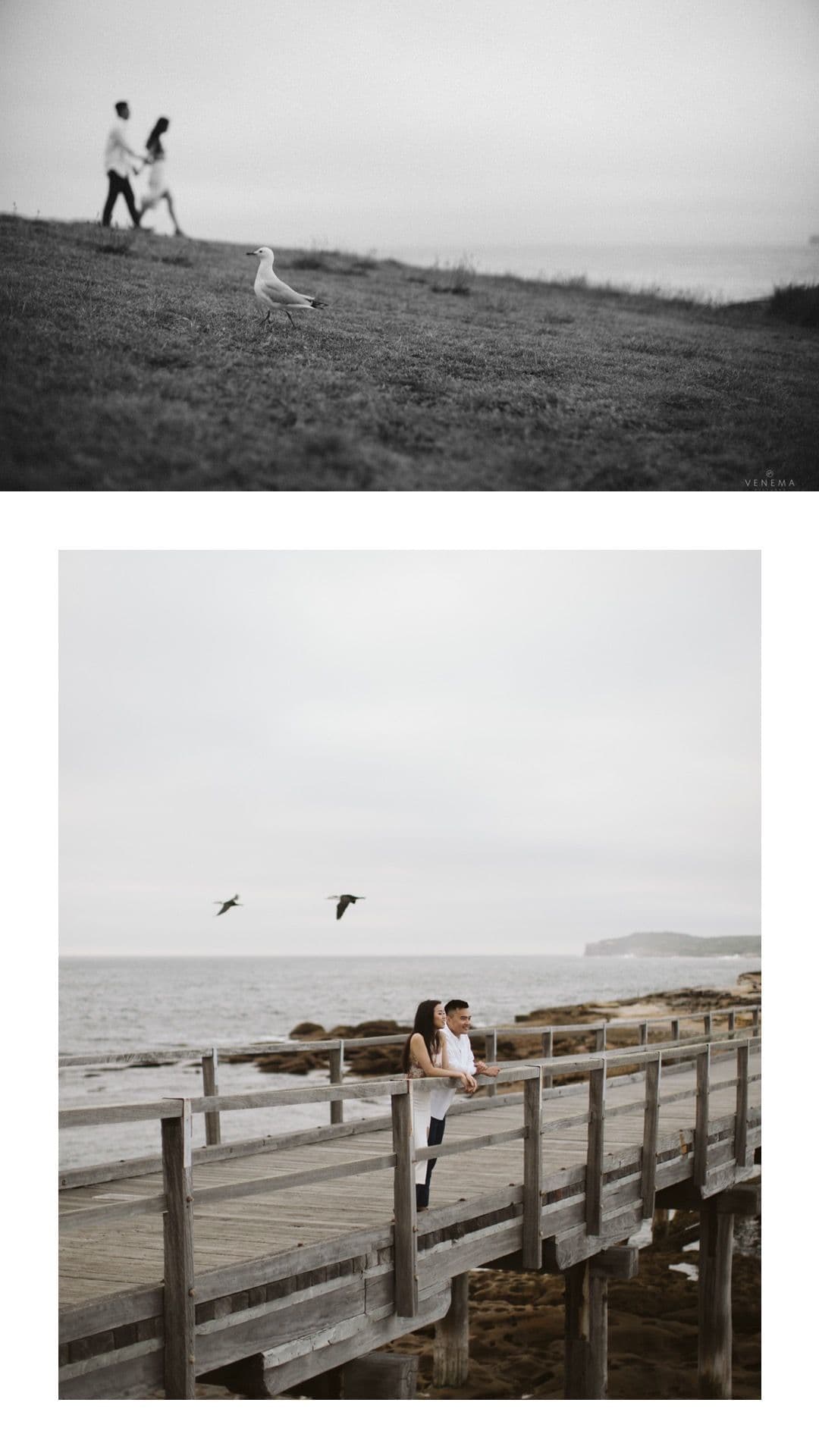 stanley stephanie sydney couple session 5 f567d4fb4f | Venema Pictures - Jakarta Bali Wedding Photography Videography