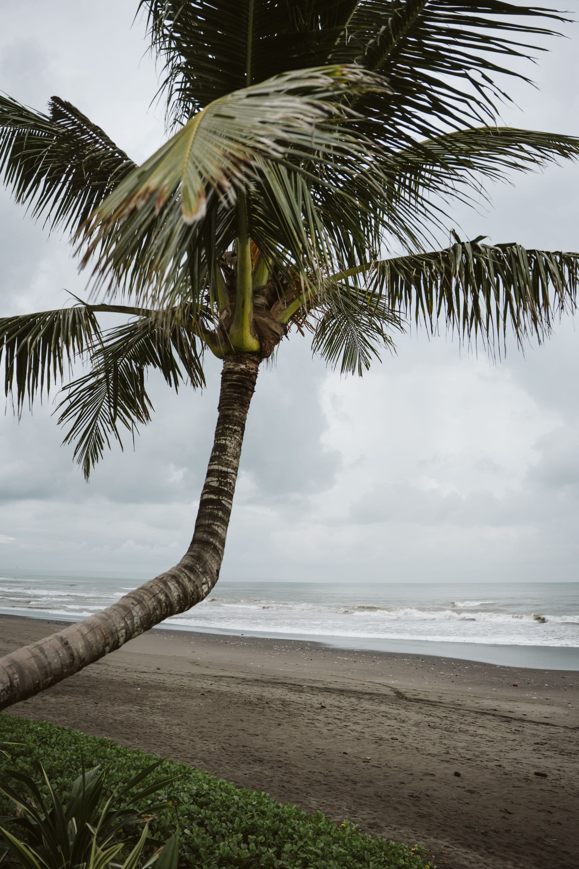 harrisoncrystal balibeachglamping bali wedding 1 16b11b32e7 | Venema Pictures - Jakarta Bali Wedding Photography Videography